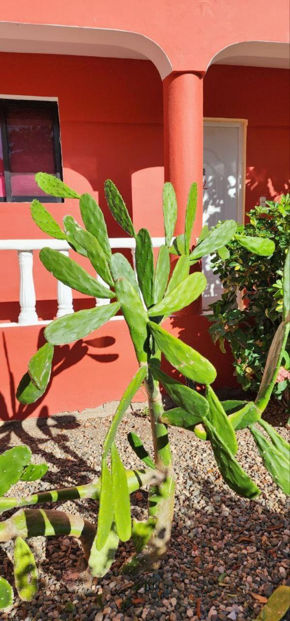 Villa Kiki Ensenada Punta Rucia Eksteriør billede