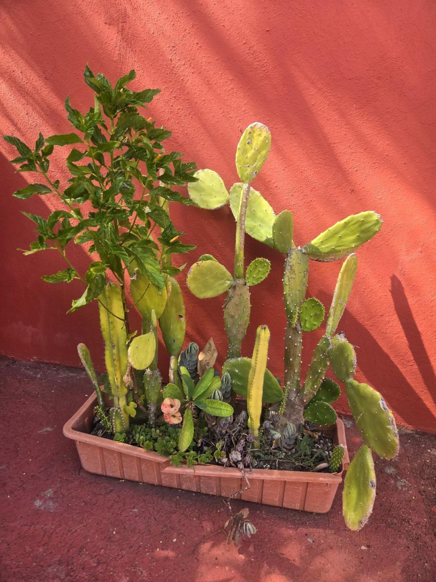 Villa Kiki Ensenada Punta Rucia Eksteriør billede